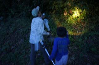 DSC00387.jpg