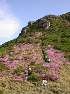 星生山 ばいコヨーテ.jpg