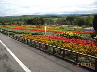 画像 471.jpg