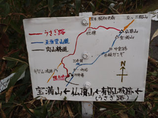 P2050246N.jpg