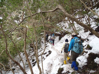 P2050257N.jpg
