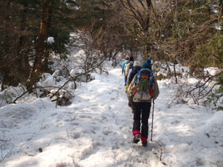 P2050287N.jpg