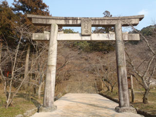 P2050302N.jpg