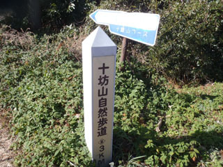 P3050050N.jpg