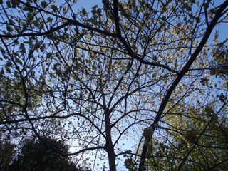 P3050088N.jpg