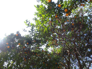 P3050091N.jpg