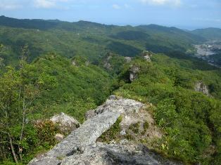 f0196109_7245827.jpg
